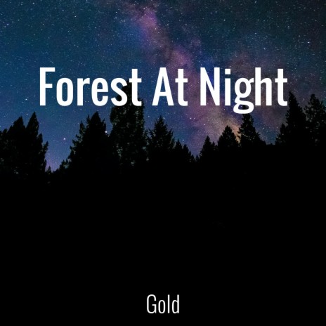 Forest At Night | Boomplay Music