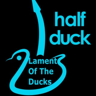 Lament Of The Ducks