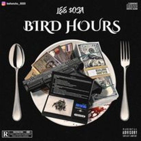 Bird hours