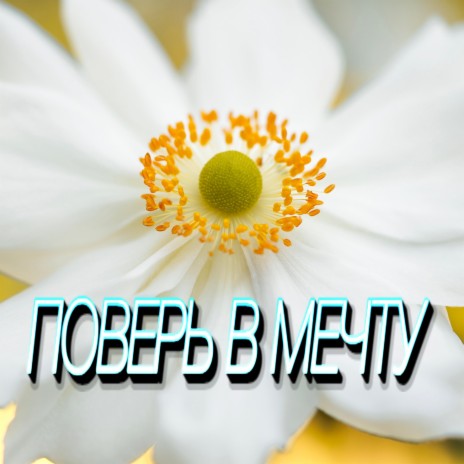 Поверь в мечту | Boomplay Music