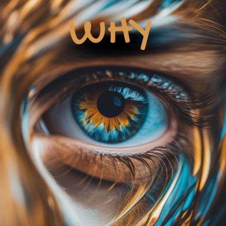 Why | Boomplay Music