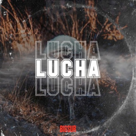 Lucha | Boomplay Music