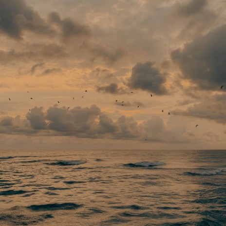 Flight Across the Serene Waters