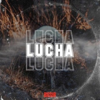 Lucha