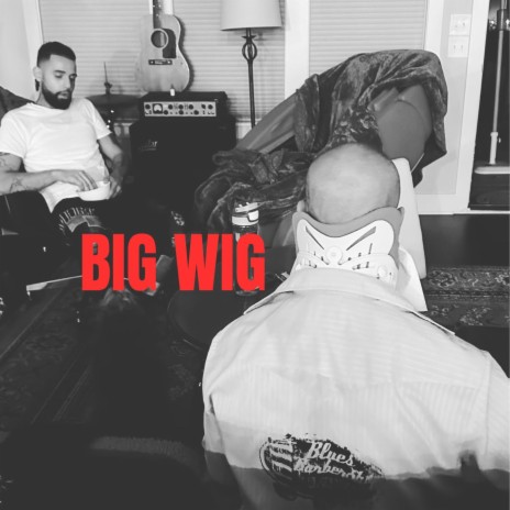 Big Wig | Boomplay Music
