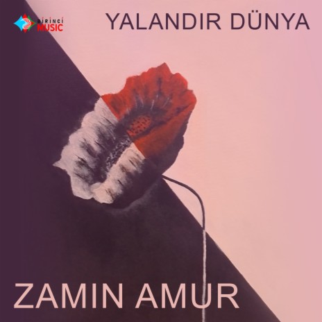 Yalandir Dünya | Boomplay Music