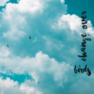 Birds (feat. Simon K.)