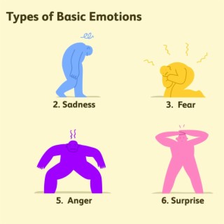 pack of emotions