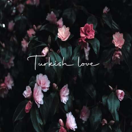 Turkish Love | Boomplay Music
