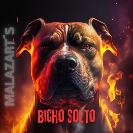 Bicho Solto | Boomplay Music