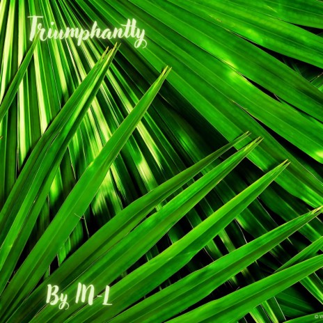 Triumphantly | Boomplay Music