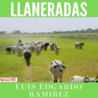 Llaneradas