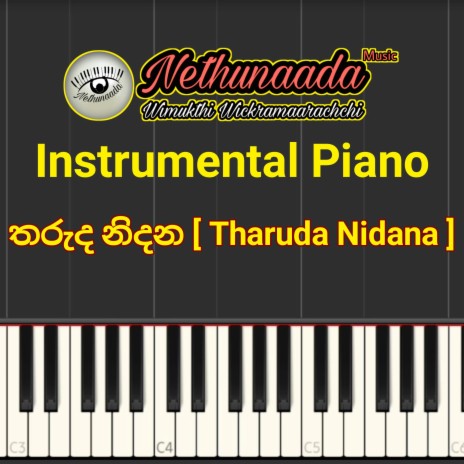 Tharuda Nidana (Instrumental) | Boomplay Music