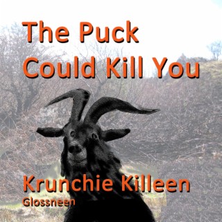 The Puck Could Kill You lyrics | Boomplay Music