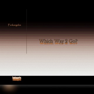 Which way 2 Go lyrics | Boomplay Music