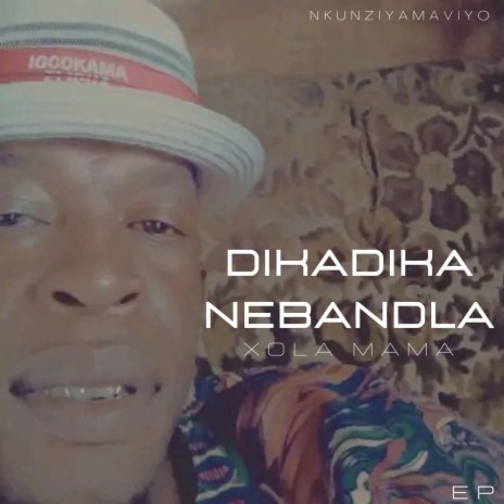 Dudlu Ntombi | Boomplay Music