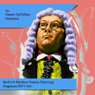 Bach's St Matthew Passion (Opening) Fragments BWV 244