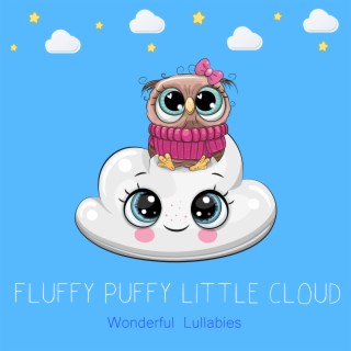 Fluffy Puffy Little Cloud