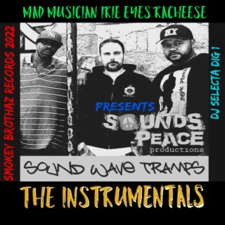 Soundwave tramps : The Instrumentals