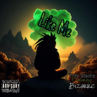 Like Me (feat. Bizarre)