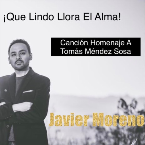 ¡Que Lindo Llora el Alma! | Boomplay Music