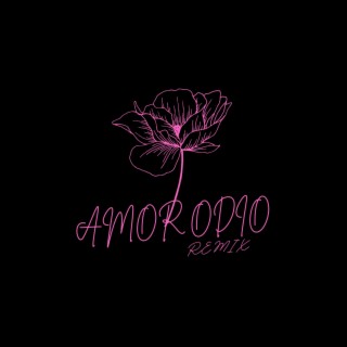 Amor Odio (Remix)