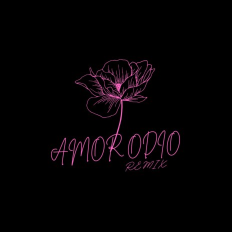 Amor Odio (Remix) | Boomplay Music