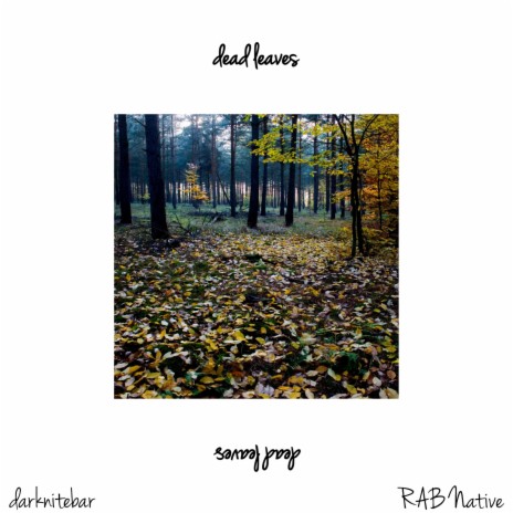 dead leave(s) ft. RAB Native & Ro Marsalis | Boomplay Music