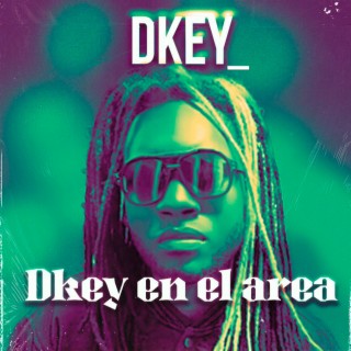 DKEY EN EL AREA