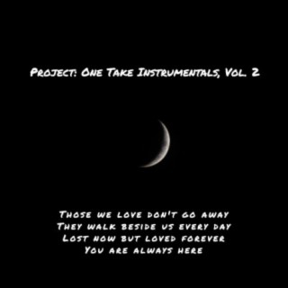 Project: One Take Instrumentals, Vol. 2