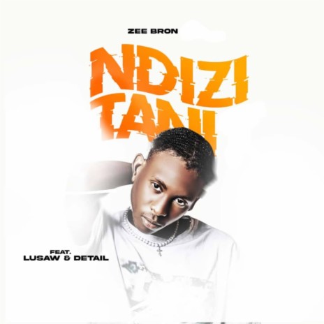 Ndizitani ft. Detail & Lusaw | Boomplay Music