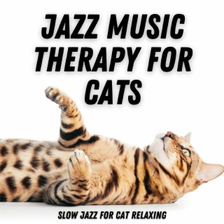 Slow Jazz For Cat Relaxing