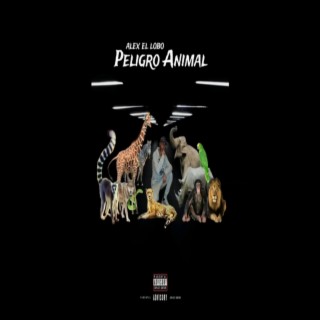 Peligro Animal (La Jirafa de África)