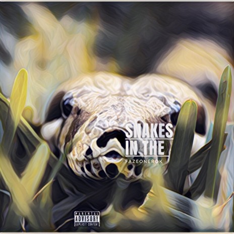 Snakes in the Grass (feat. fazeonerok) | Boomplay Music