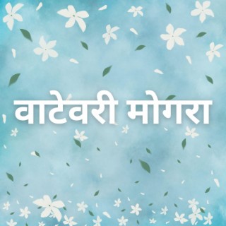 वाटेवरी मोगरा