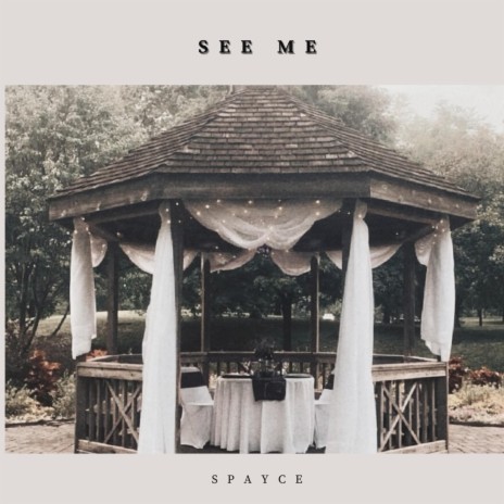 See Me | Boomplay Music