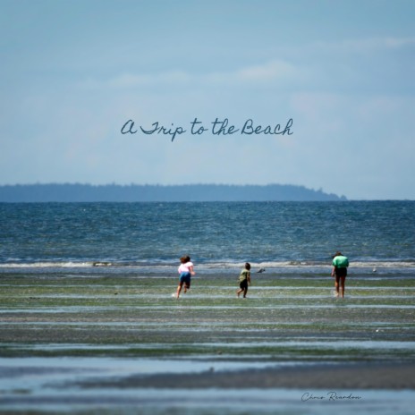 A Trip to the Beach | Boomplay Music