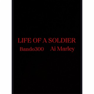 LIFE OF A SOLDIER