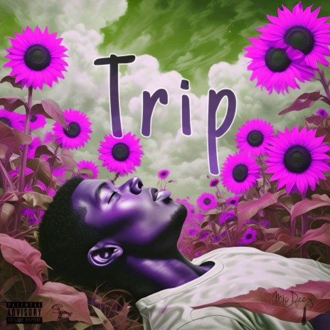 Trip | Boomplay Music