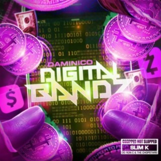 Digital Bandz Chopped Not Slopped Remix