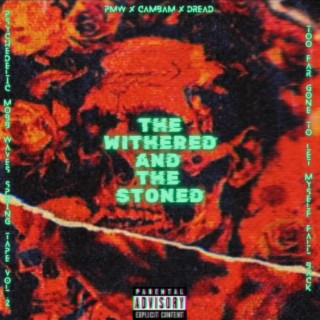 SPRINGTAPE VOL. 2: THE WITHERED AND THE STONED