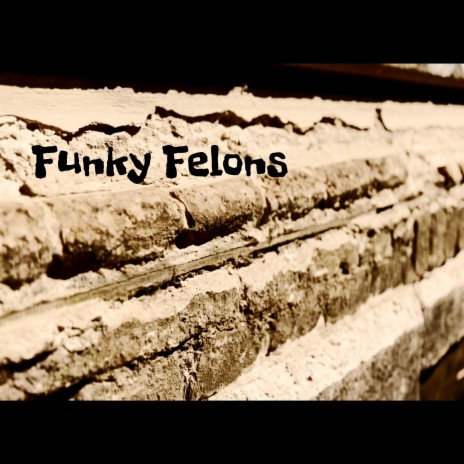 Funky Felons | Boomplay Music