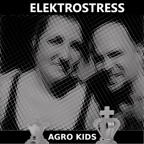 Elektrostress