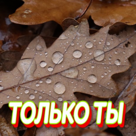 Только ты | Boomplay Music