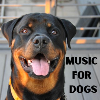 Music For Dogs