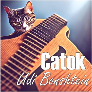 Catok