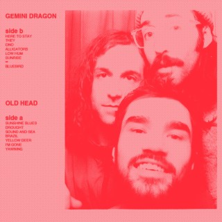 gemini dragon / old head