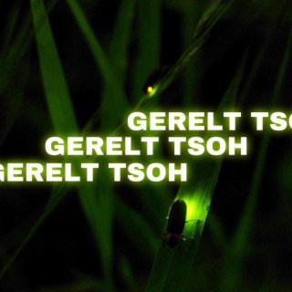 Gerelt Tsoh lyrics | Boomplay Music