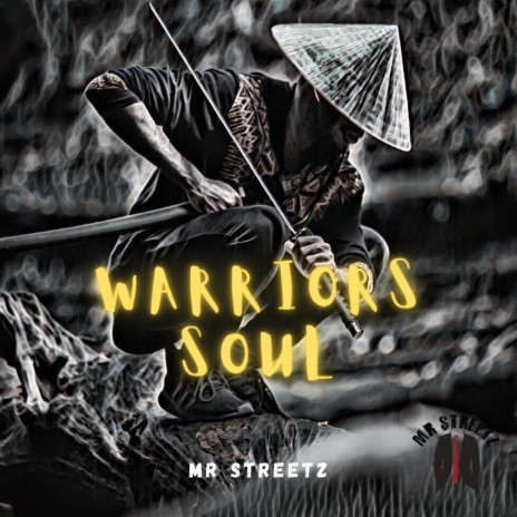 Warriors Soul | Boomplay Music