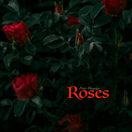 Roses | Boomplay Music